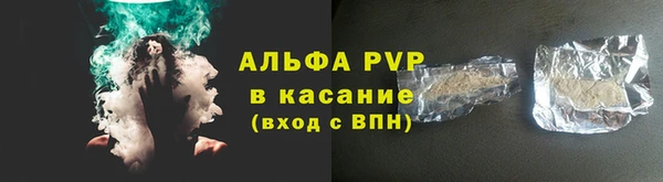 прущие грибы Балабаново