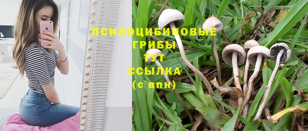 COCAINE Баксан