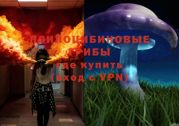 соль курить ск Балахна