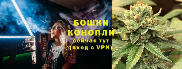 прущие грибы Балабаново