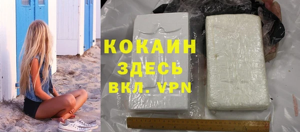 прущие грибы Балабаново