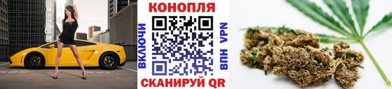 закладка  Гороховец  Марихуана гибрид 
